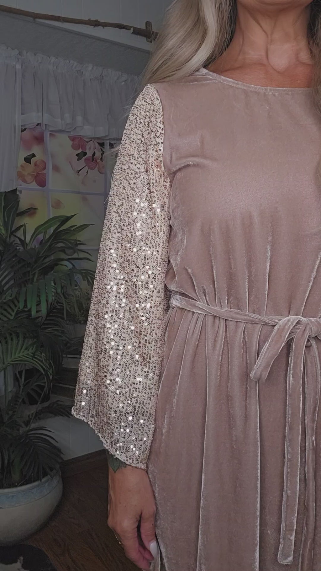 Velvet Dress with Sequin Sleeves Dress