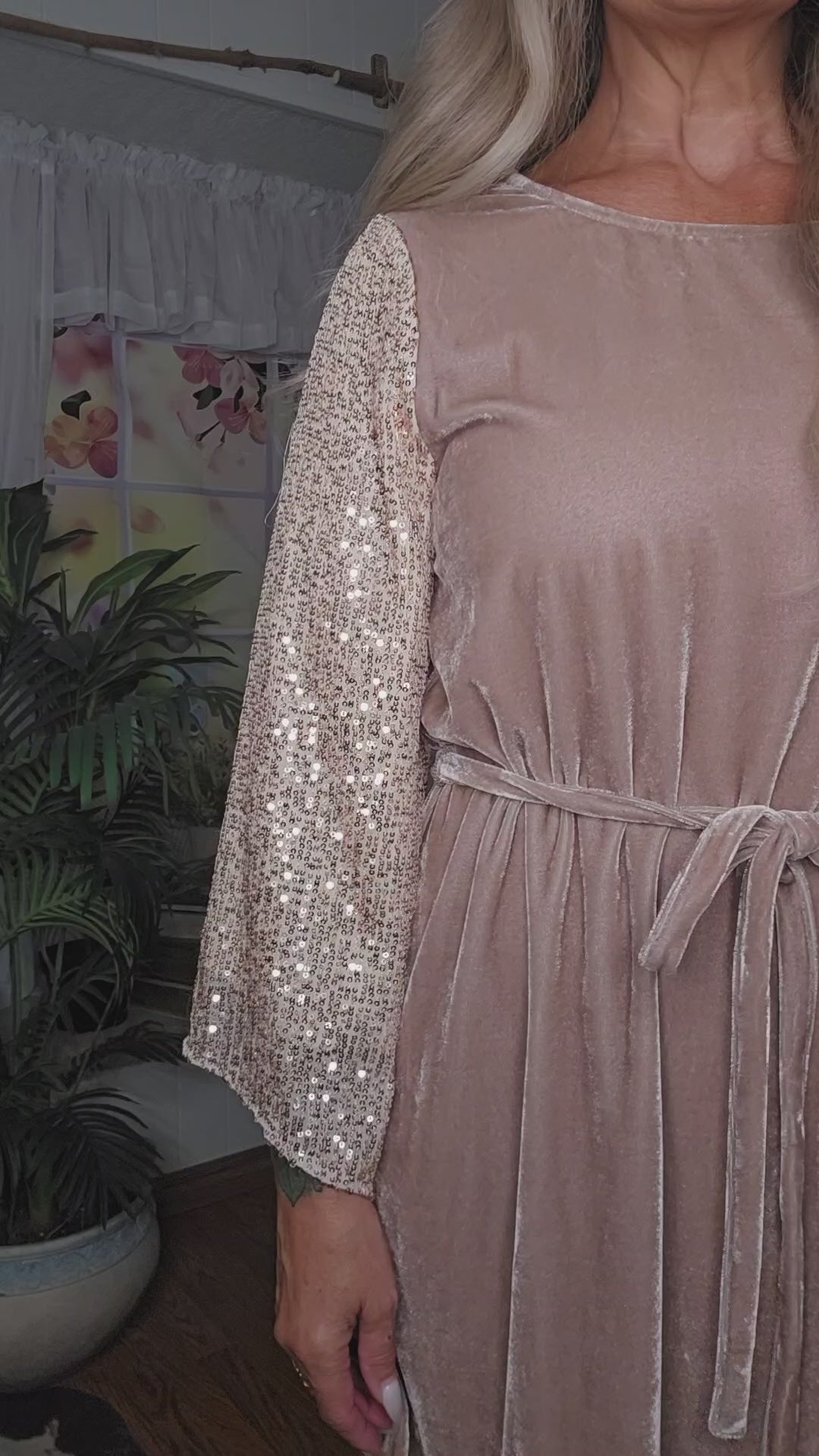 Velvet Dress with Sequin Sleeves Dress
